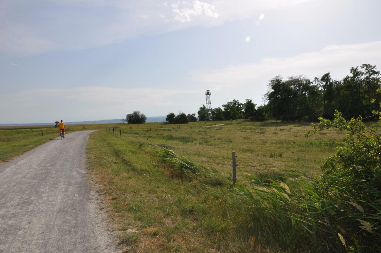 Ferienhaus Resi Illmitz Bagian luar foto